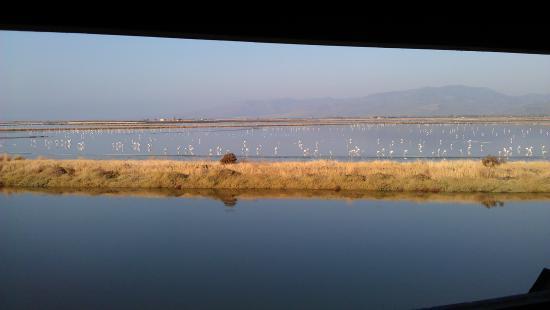 Kalloni Salt Pans