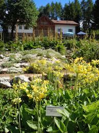 Giardino Botanico Alpino Viote