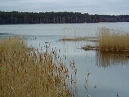 Lilastes ezers