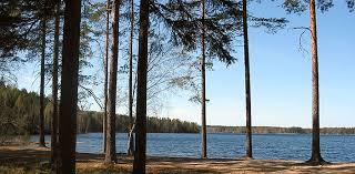 Ruostejarvi