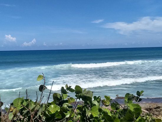 Surfer's Beach