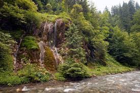 Waterfall At Chisatoare