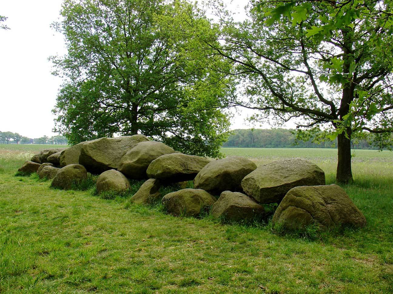 Terrein met hunebed D16