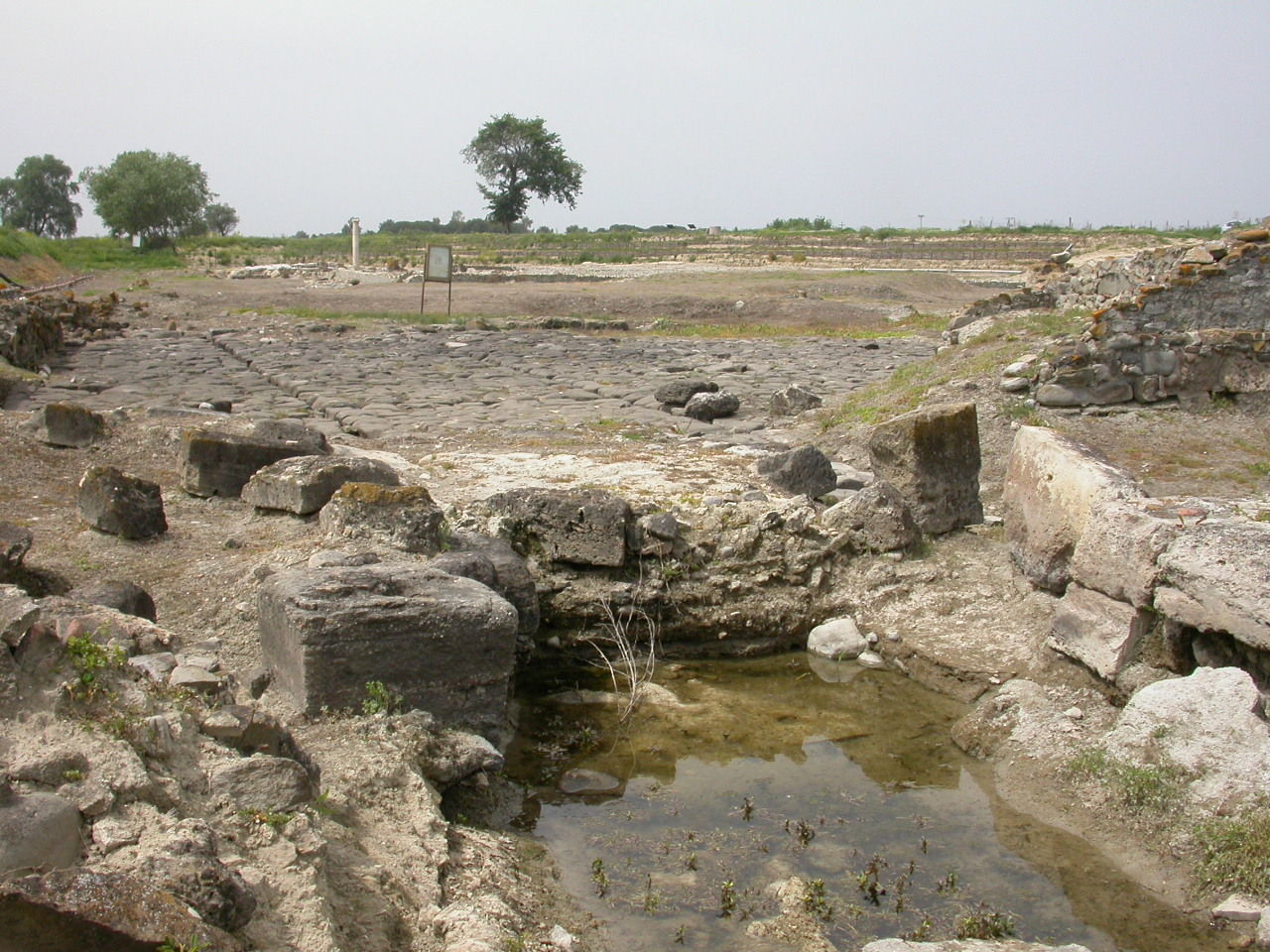 Sibari