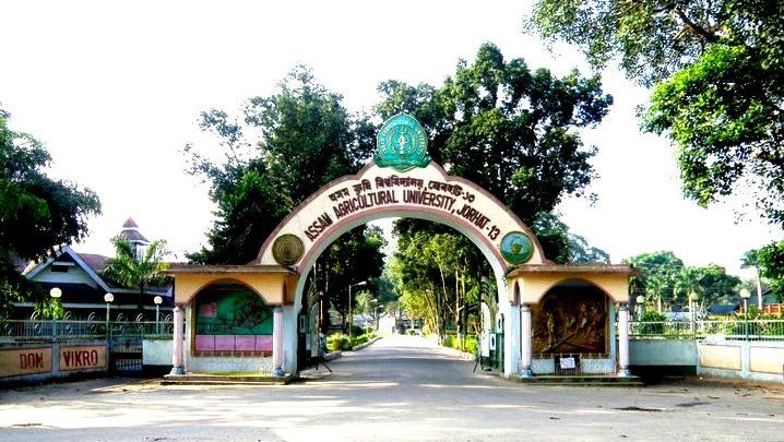 Assam Agricultural University