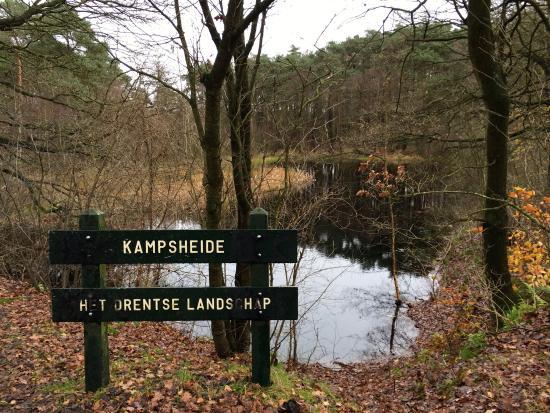 Kampsheide