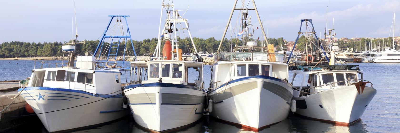 Hafen von Savudrija