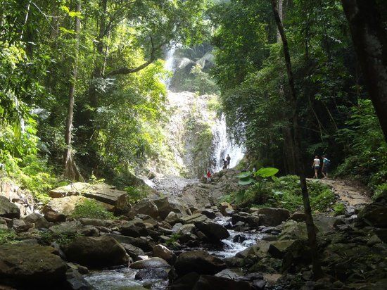 Nationalpark Khao Phanom Bencha