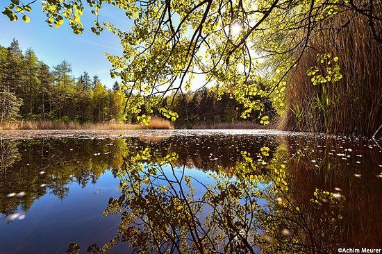 Mitterstieler See