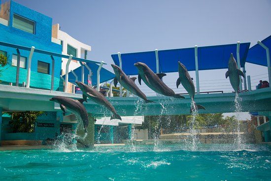 Acuario Interactivo de Cancún