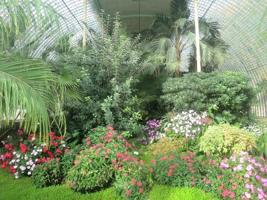 Palmenhaus des Schlosses Eisgrub