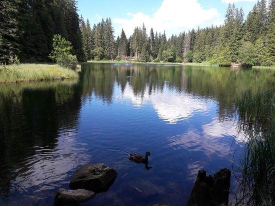 Vrbicke pleso