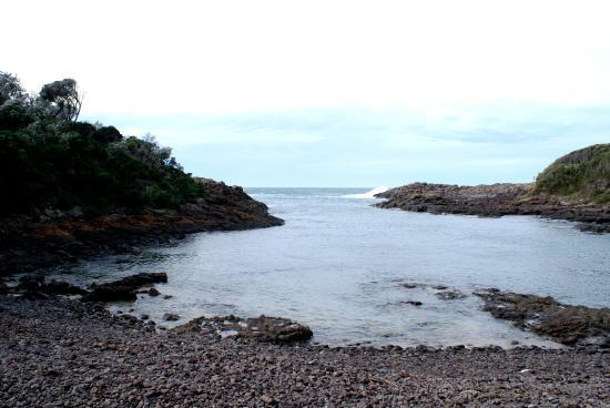 Bass Point Reserve