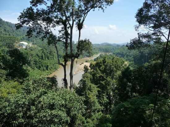 Nationaal Park Kuala Tahan