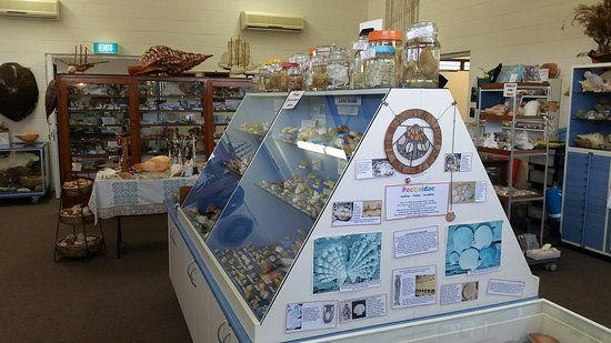 Shell World Yeppoon