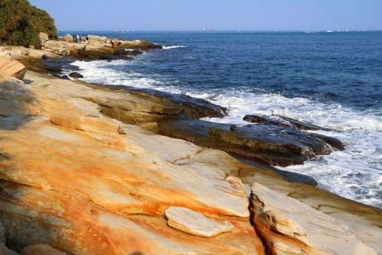 Mysterious Coast