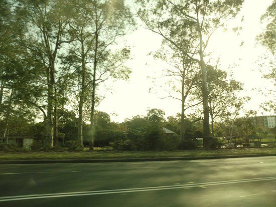 Harry Sawkins Park